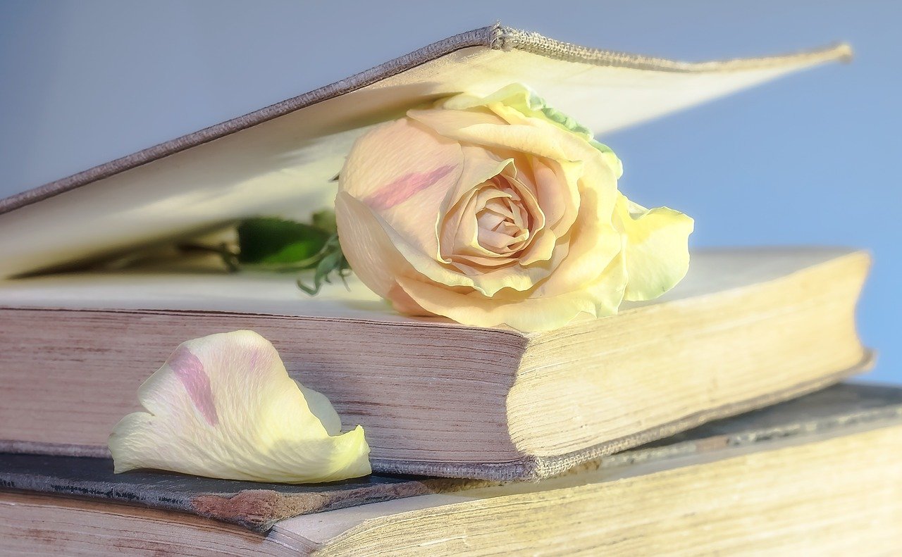 Róża w książce
